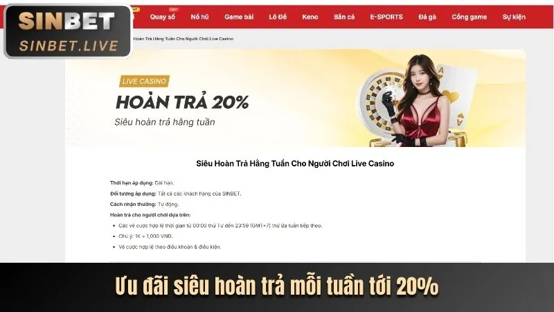 Cá cược thể thao VIP